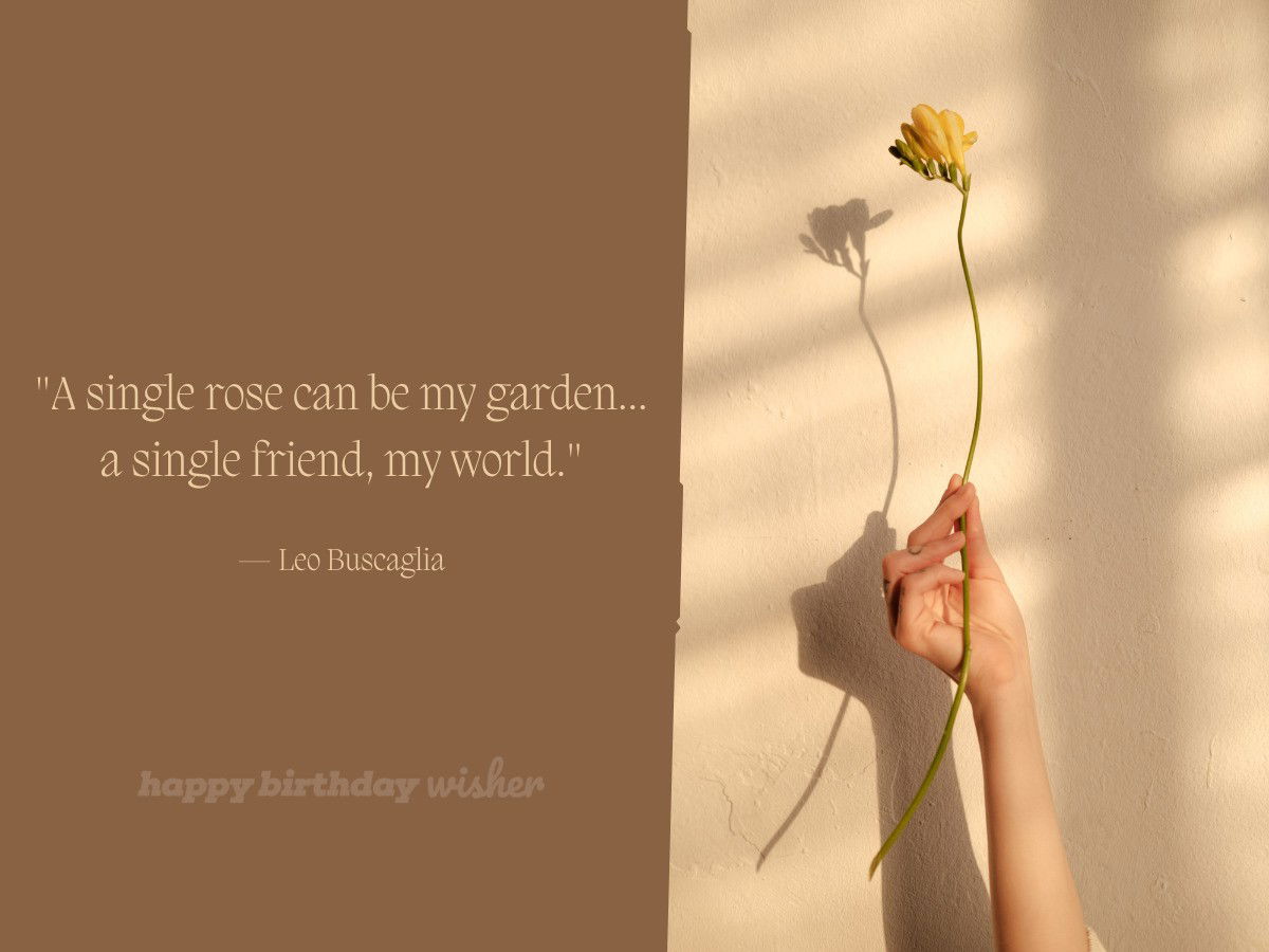 friendship quotes - my friend my world