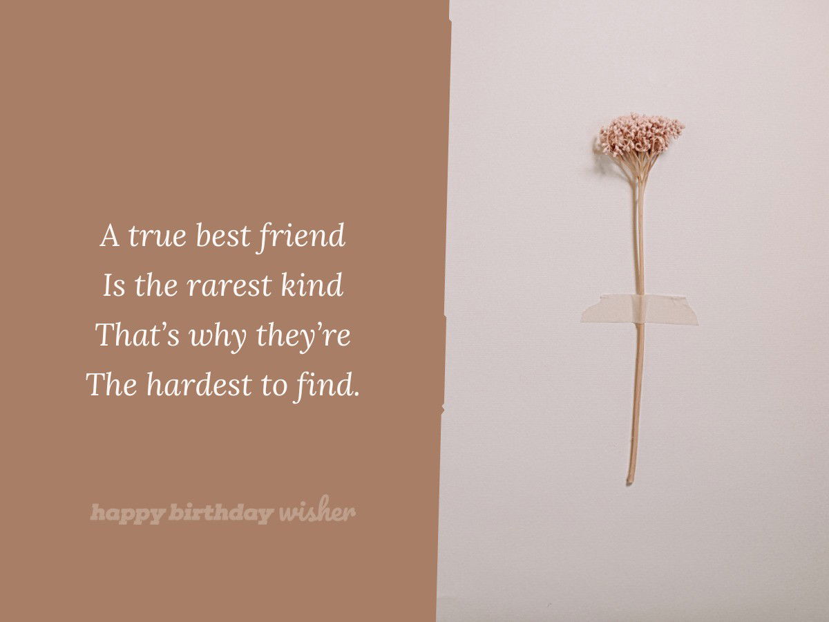 friendship quotes - rare best friends