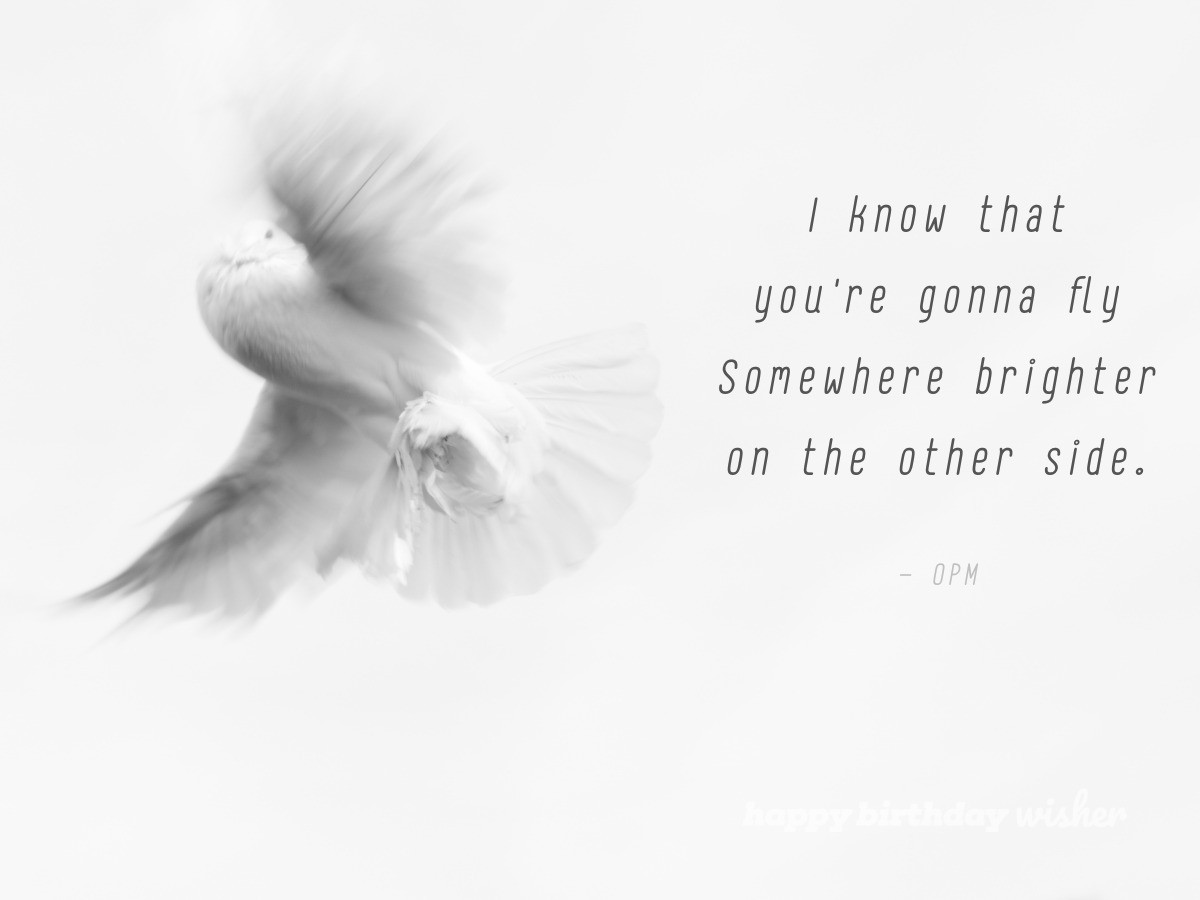 “I know that you‘re gonna fly Somewhere brighter on the other side.”