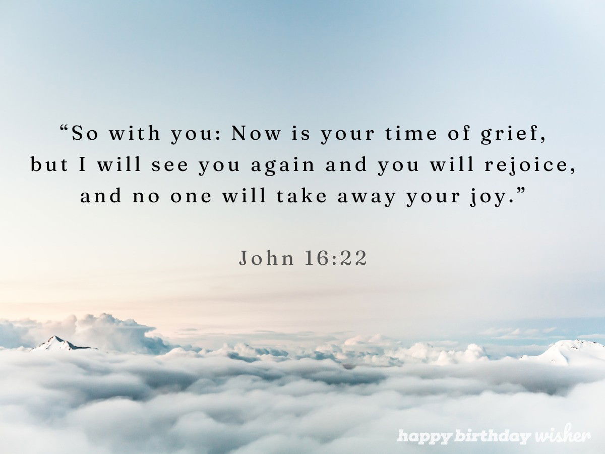 “So with you: Now is your time of grief, but I will see you again and you will rejoice, and no one will take away your joy.”